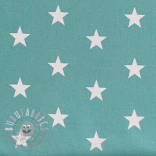 Tessuto di cotone Stars fresh sage