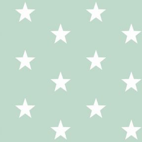 Cotton fabric Stars mint