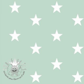 Tessuto di cotone Stars mint