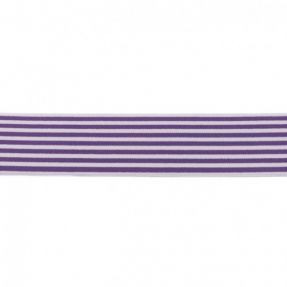 Elastic 4 cm Stripe purple