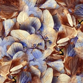 Viscose RADIANCE Dry flowers aqua digital print