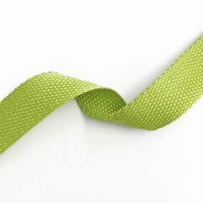 Webbing 2,5 cm lime