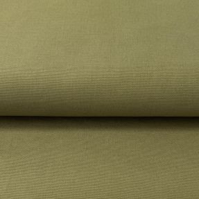 CANVAS olive