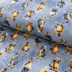 Jersey Raincoat ducklins grey digital print