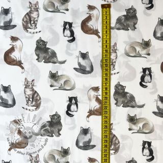 Tessuto di cotone Cats white digital print